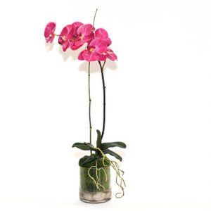 Emilio Robba Products - Belle & June