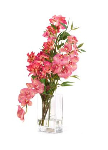Emilio Robba Fuchsia Bush Bougainvillea & Phala with Bamboo in Deco Vase 