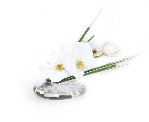 Emilio Robba White Phalaenopsis and Grass Disk Vase 