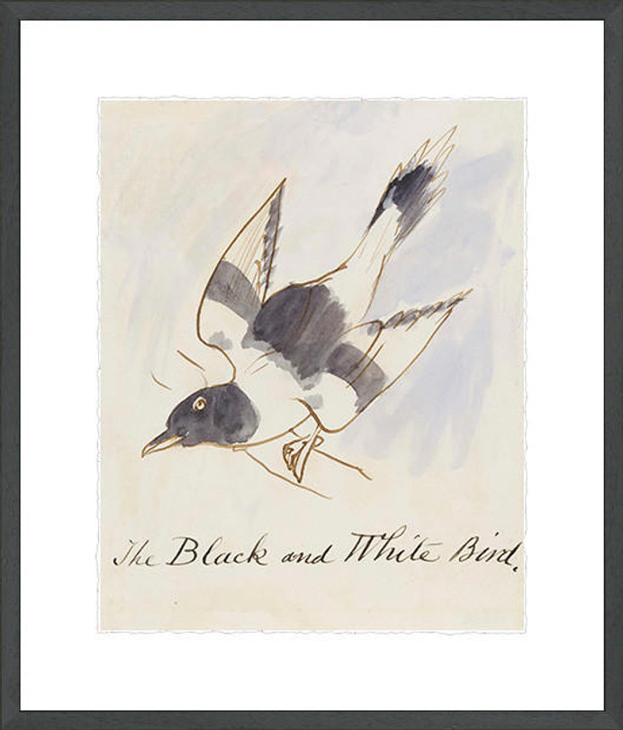 Art Classics Bridgeman The Black And White Bird Framed Canvas 