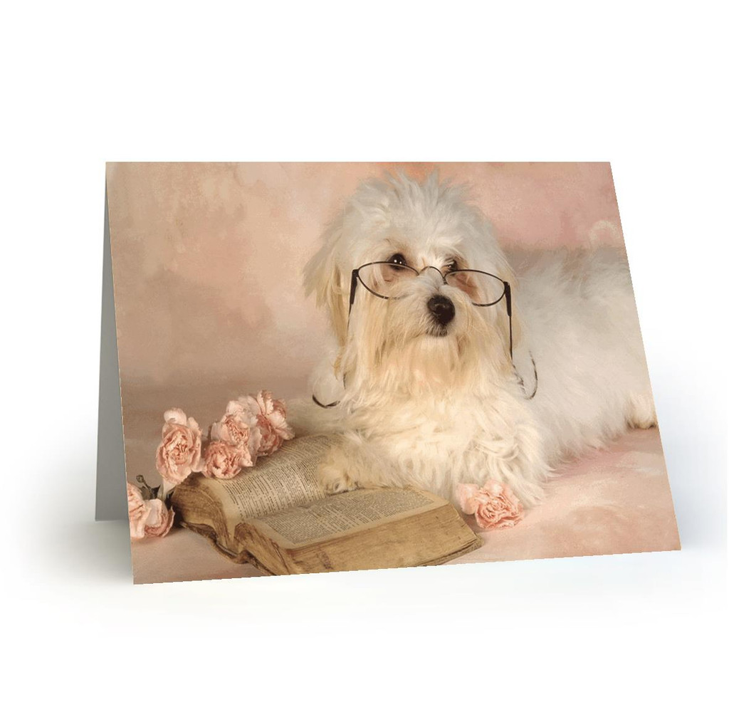 white dog with glasses+book