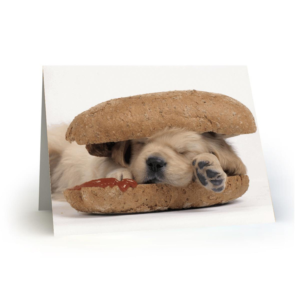 BUN DOGWICH WITH KETCHUP