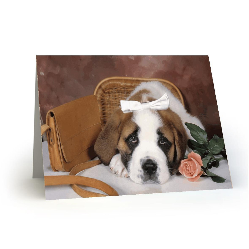 Dog White Bow-bags-rose