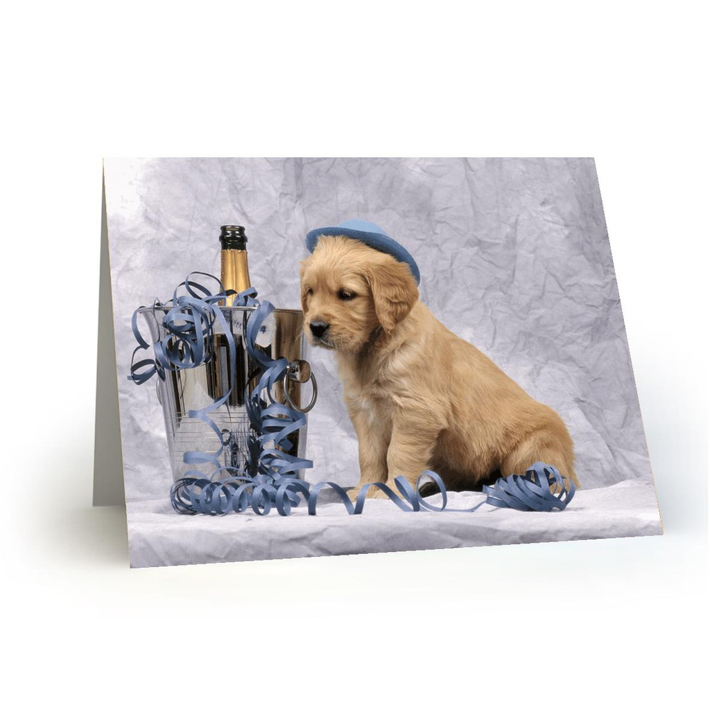 Dog With Champagne Bottle