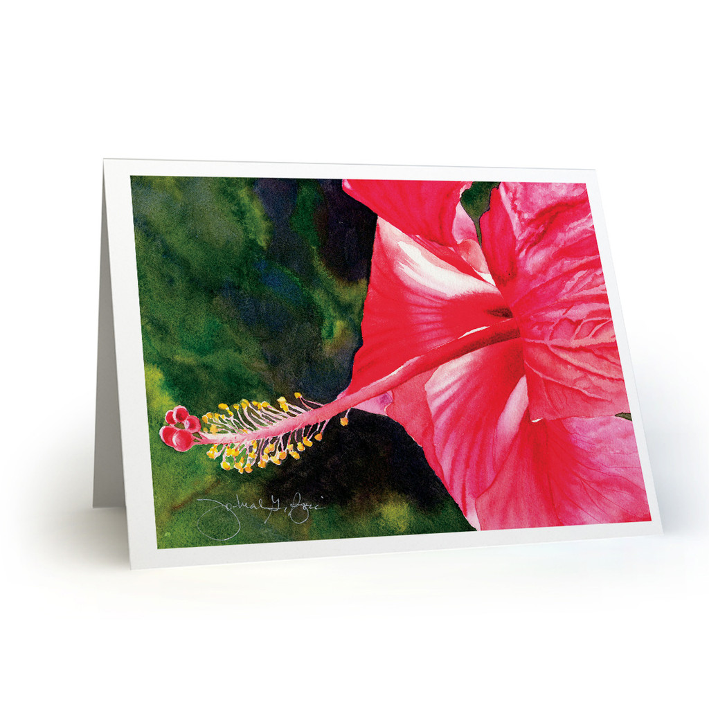 Kauai Hibiscus - JN100