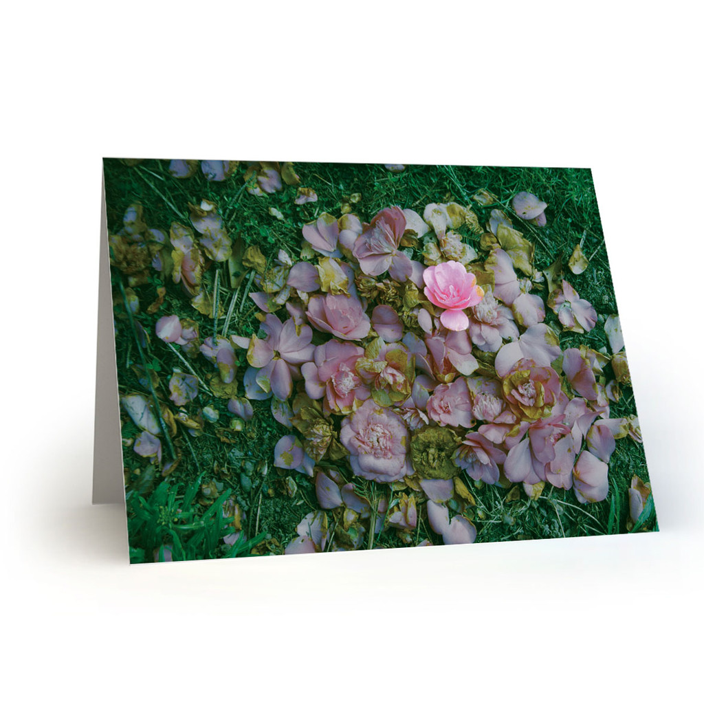 Pink Flowers 01 - MT100