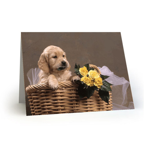 PUP BASKET FLOWERS