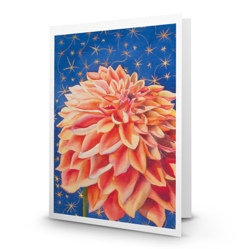 Starlite Dahlia - JN100