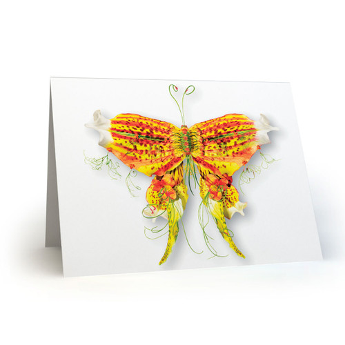 Butterflies 06 - MT100