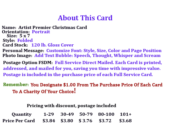 about-artist-premier-portrait-christmas-card-fsdm-6.jpg