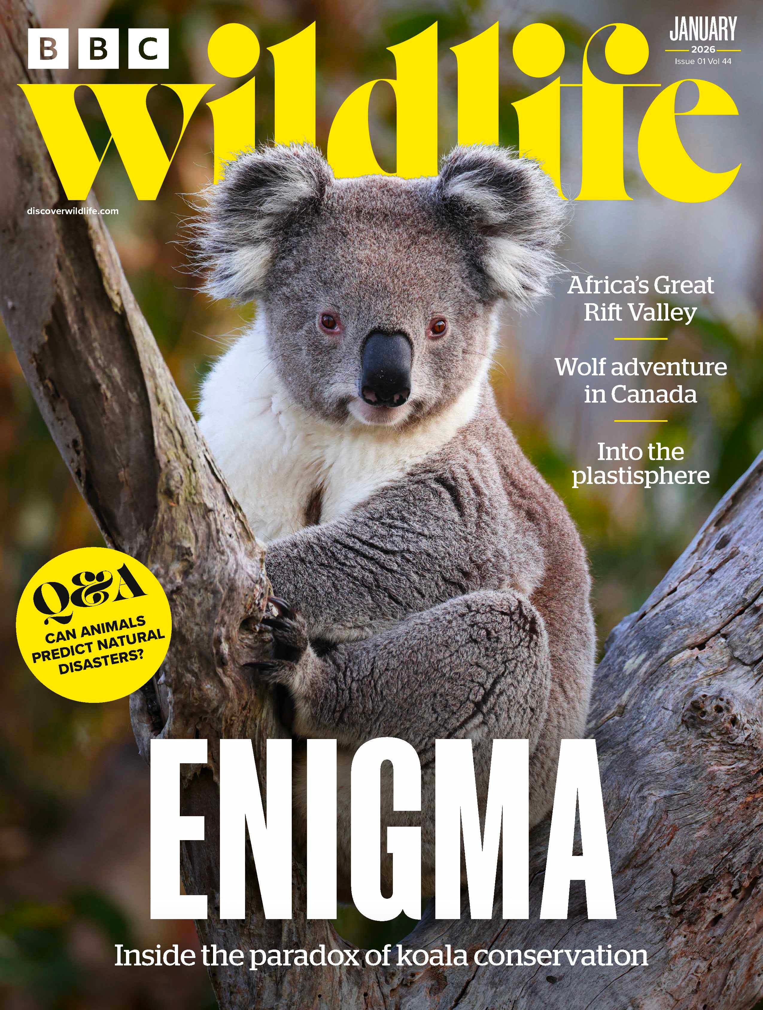 BBC Wildlife Magazine January 2026 - Issue 538