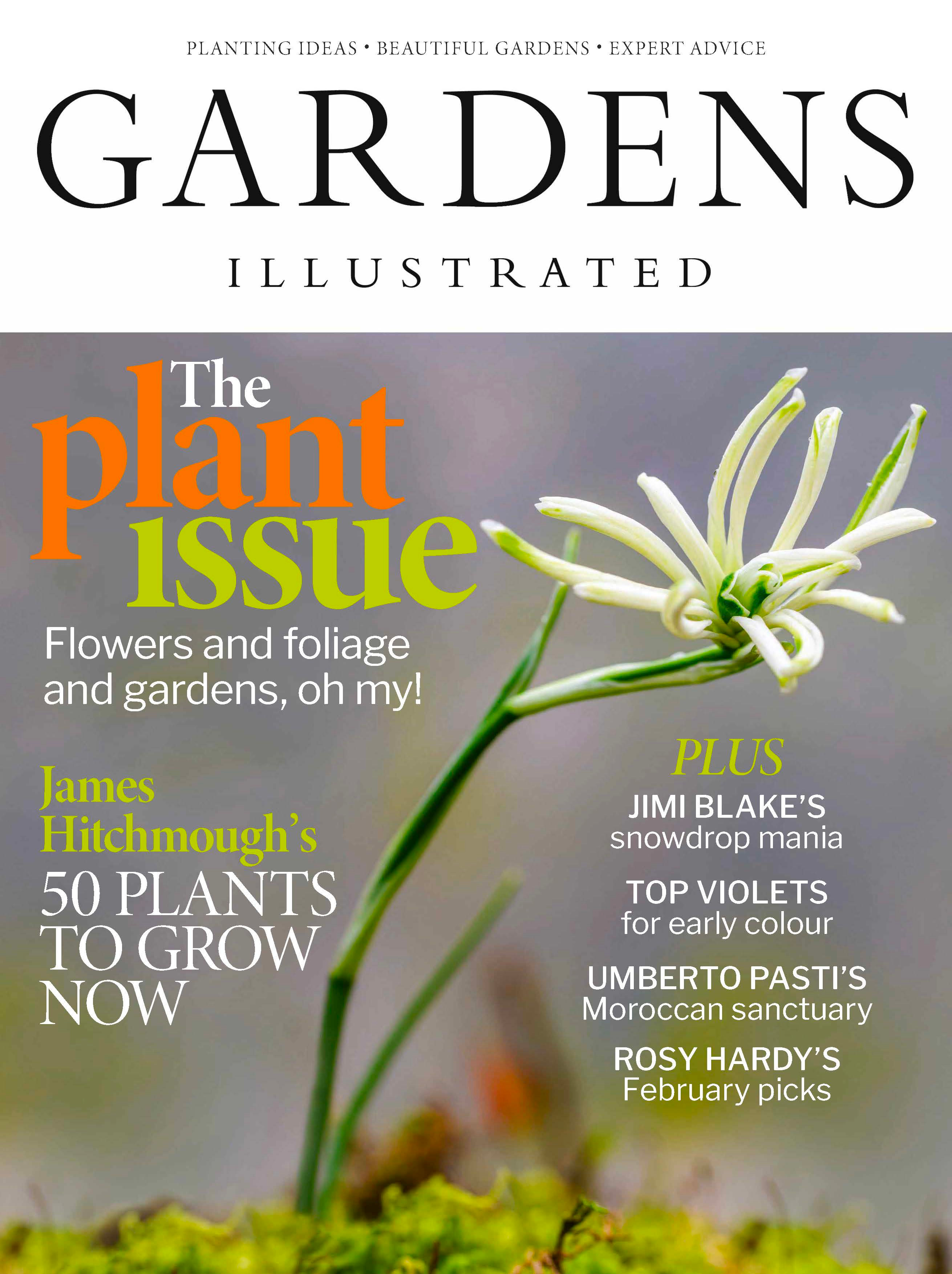 Gardens Illustrated magazine February 2026