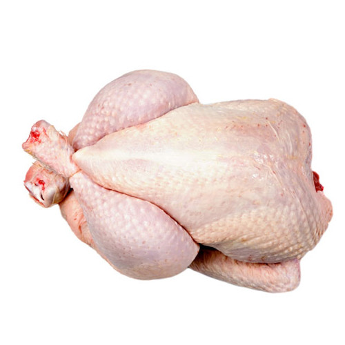 Fresh Organic Chicken