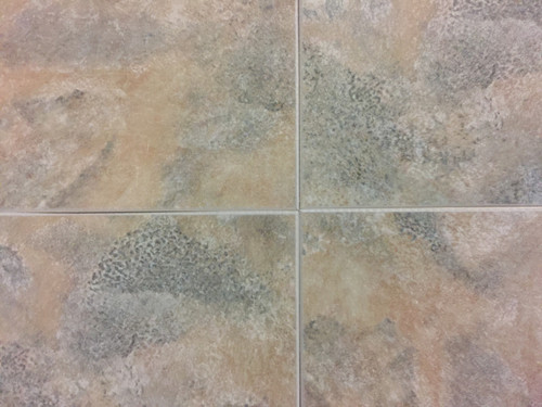 NAFCO Better Living Milestone 12x12 Taupe Gray-$1.89 sq ft.