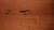 Sovereign Oak Gunstock 7/16" x 5" Floating Engineered Hardwood - $2.99