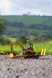 KANE LLTM Loader 43254