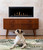 Montigo DRL3613 DelRay 36 Linear Direct Vent Gas Fireplace (Basic)