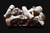 White Mountain Hearth Birch Burncrete Gas Log Set
