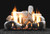 White Mountain Hearth Birch Ceramic Fiber Gas Log Set