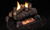 Real Fyre G18-2 See-Thru Vent-Free Burner with Evening Fyre Log Set