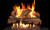 Real Fyre Flame Enhanced Log Set with G45 Burner
