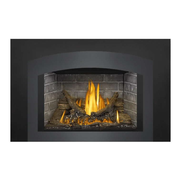 Napoleon Oakville G3 GDI3N-1 Direct Vent Gas Insert (Millivolt Ignition)