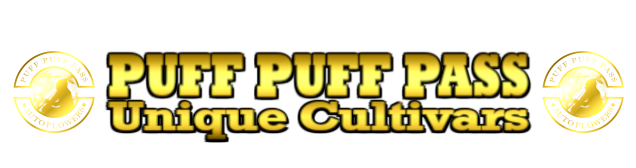 Puffington's Vault