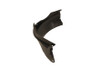 FENDER LINER LH FR RR SECTION REPLACEMENT FOR OLDSMOBILE ALERO 2000 PARTSLINK NUMBER  GM1248155