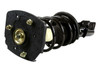 STRUT ASSEMBLY RR RH (1332304R) REPLACEMENT FOR BUICK REGAL  2003 PARTSLINK NUMBER  15022