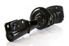 STRUT ASSEMBLY RR RH TAXI/POLICE (1332326R) REPLACEMENT FOR CHEVROLET MONTE CARLO 2003 PARTSLINK NUMBER  15062