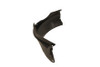 FENDER LINER LH FR RR SECTION REPLACEMENT FOR OLDSMOBILE ALERO 2003 PARTSLINK NUMBER  GM1248155