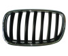 GRILLE LH CHROME/BLACK    REPLACEMENT FOR  BMW X6 2009  PARTSLINK NUMBER  BM1200180