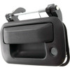 TAILGATE HANDLE TEXTURED   REPLACEMENT FOR FORD PICKUP FORD LIGHTDUTY(F150) 2009 PARTSLINK NUMBER  FO1915111