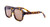Copy of Elite Man- brown tortoiseshell Eyewear