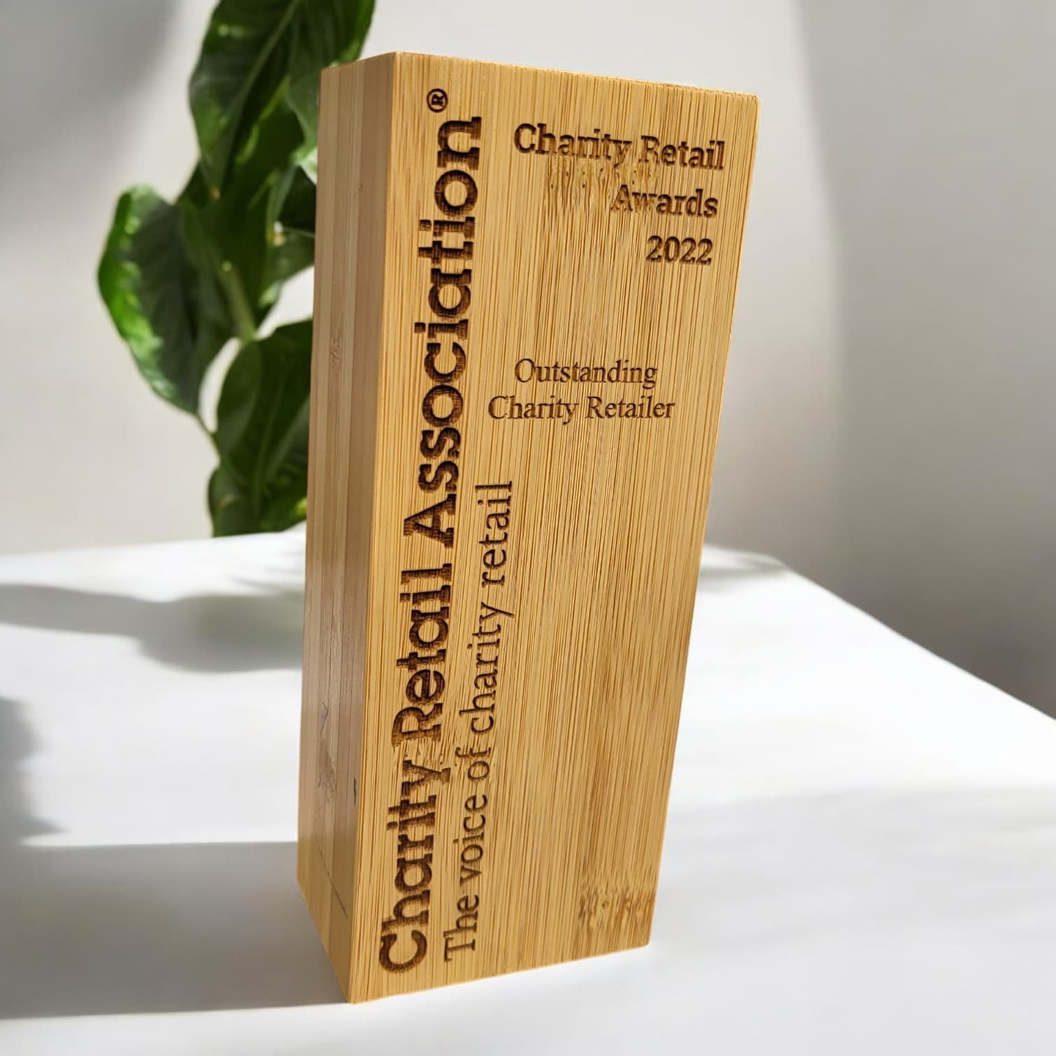 Custom bamboo awards and eco friendly trophies