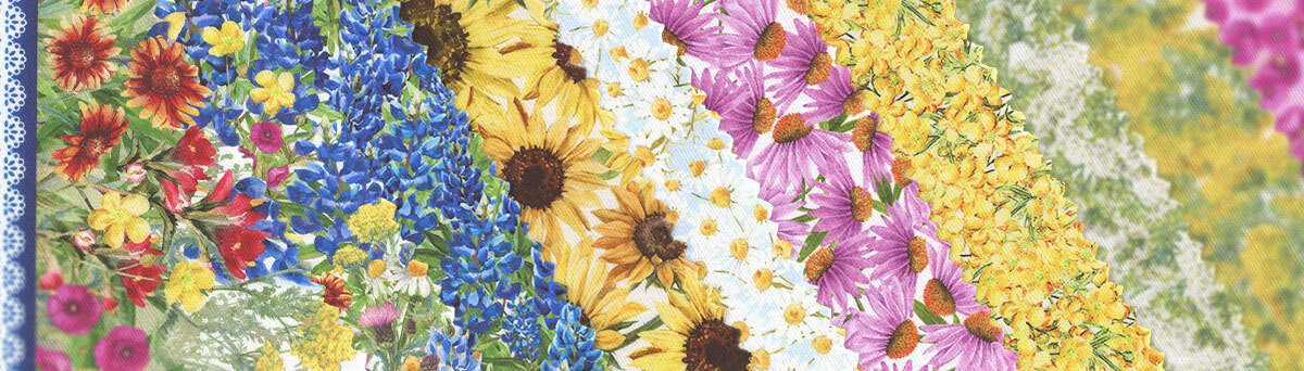 Hill Country Wildflowers by Jason Yenter