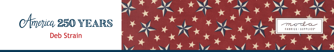 America 250 Years by Deb Strain
