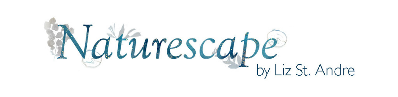 Naturescape by Liz St Andre
