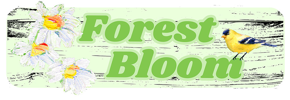 Forest Bloom