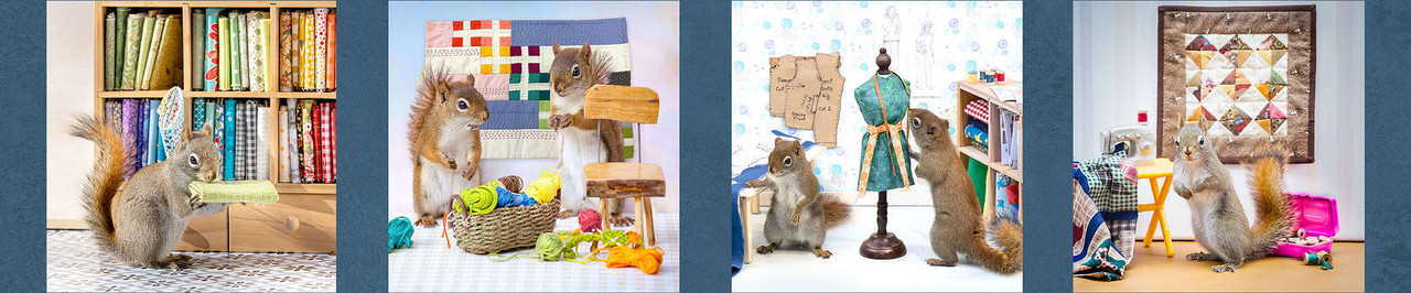 The Secret Life of Squirrels by Nancy Rose