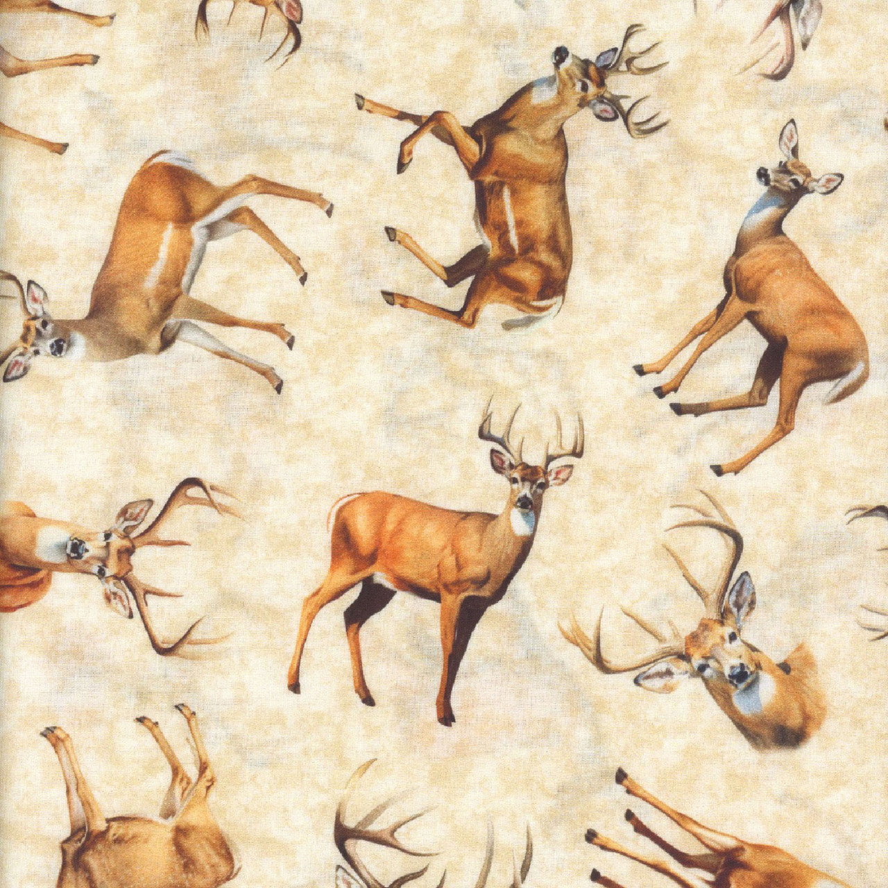 Quilting Treasures Fabrics Buck Wild Dan Morris Cream Tossed
