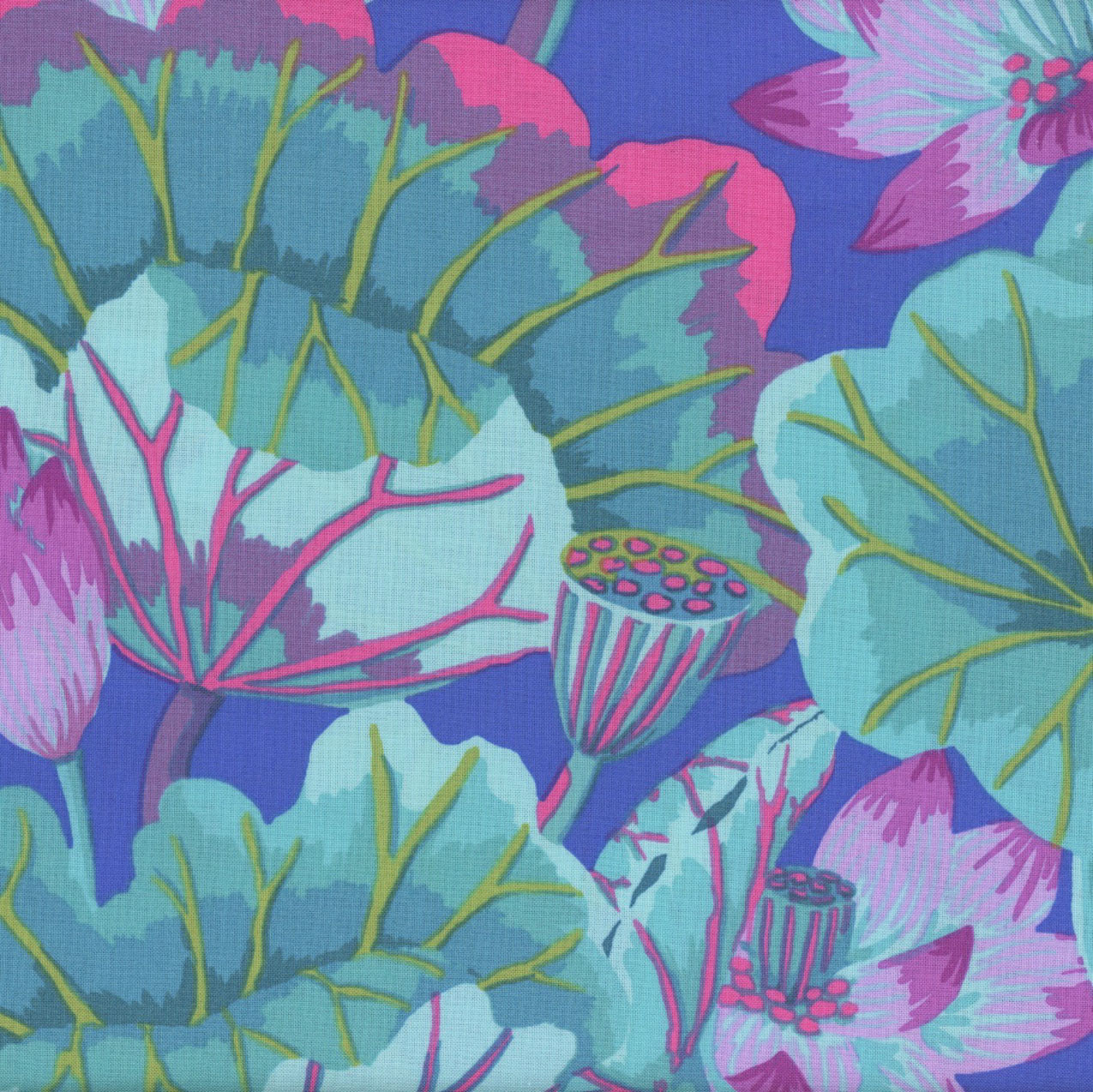 FreeSpirit Fabrics Kaffe Fassett Collective August 2025 by Kaffe