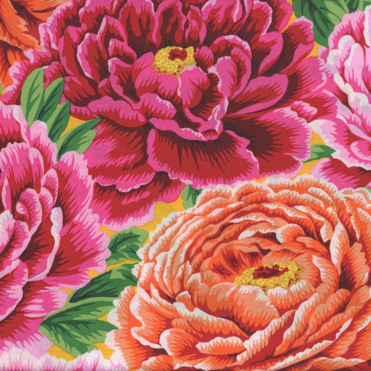 ラッキー、カブト、カブトプス、コンパン、モルフォン ラッキー、カブト、カブトプス、コンパン、モルフォン ラッキー