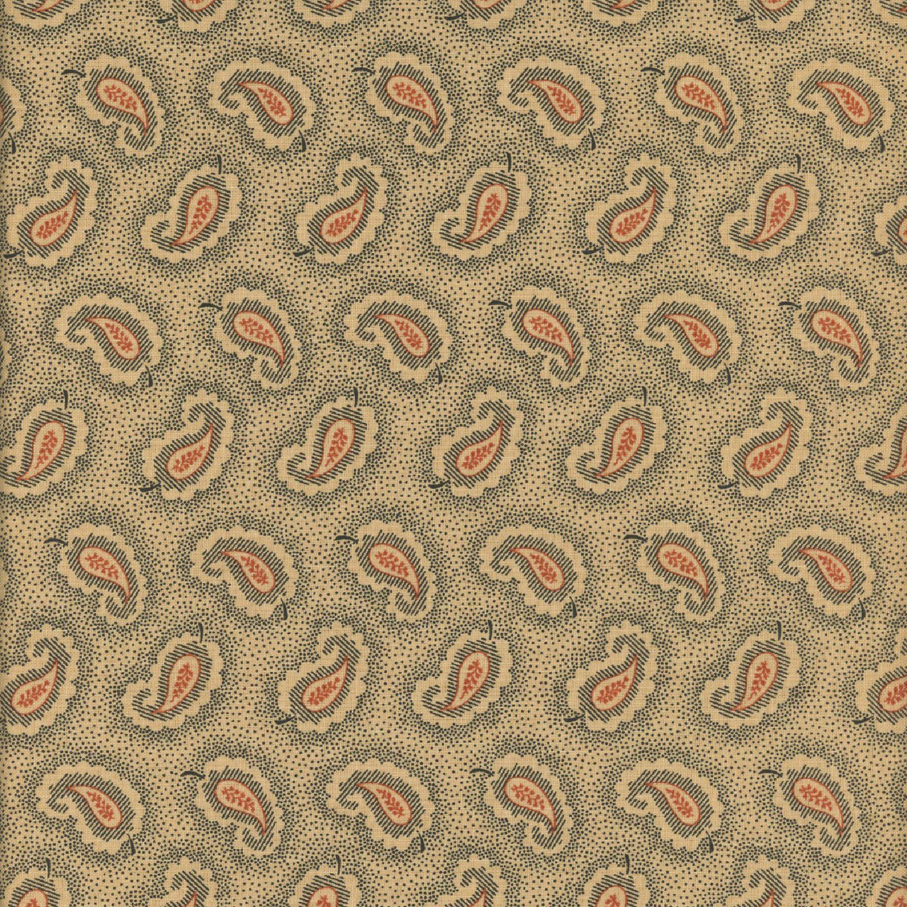 Andover Fabrics Carolina by Jo Morton Black Dotted Paisley | Quilt