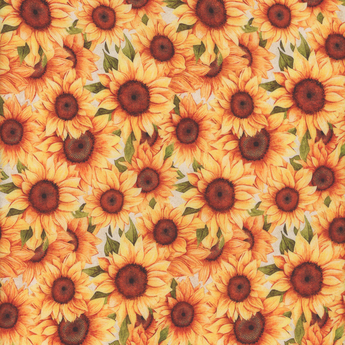 ⭐️ sunflower様　2点セット Quilting Treasures Sunflower Serenade Dan Morris 108 Inch Wide