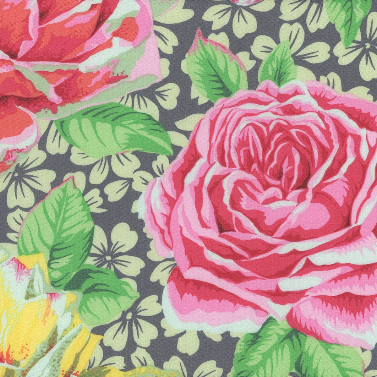 Kaffe Fassett Collective for FreeSpirit Fabrics February 2026 by