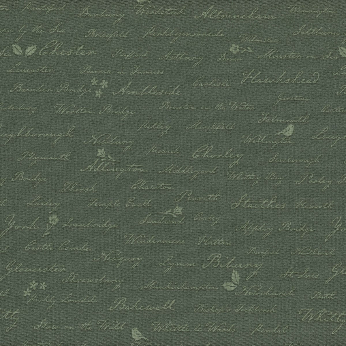 Riley Blake Fabrics Ambleside English Town Names Forest