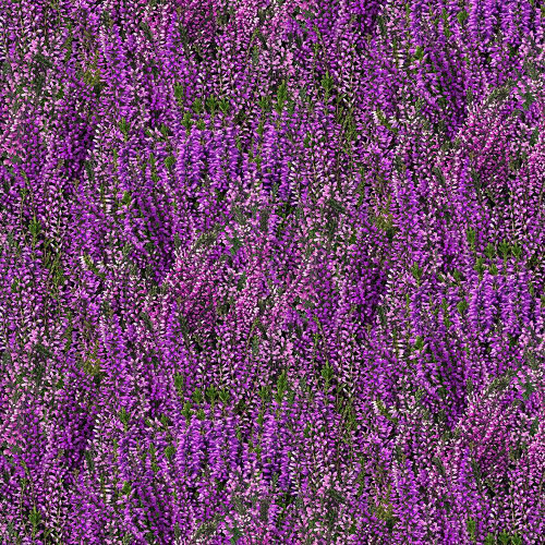 Timeless Treasures Fabrics Heather and Hyland Lavender Field Purple, vibrant purple lavender flowers densely covering the fabric with green leaves interspersed.
