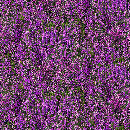 Timeless Treasures Fabrics Heather and Highland Lavender Field Purple