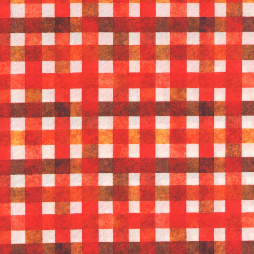 Quilting Treasures Fabrics QT Fabrics Foodies Dan Morris Gingham Red